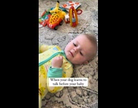 Dog says mama when woman ask baby 