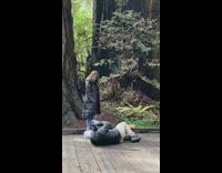 Guy laying on floor to take photo 