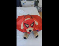 Golden retriever dog spiderman mask red cape 