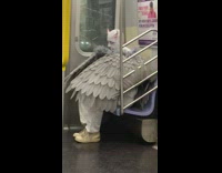 Guy dressed as white devil angel is found on train seat