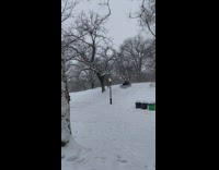 Two people sled down a small hill on an air mattress at a park 

