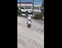 Toddler wearing bike helmet runs up to motorcycle