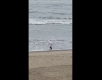 Guy wears towel and opens arms toward water 