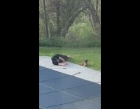 Guy lay ground take dog picture backyard