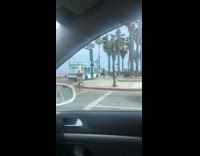 Black bird sits on guys hand bus 