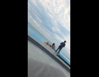 Woman blue bikini lie down beside pool
