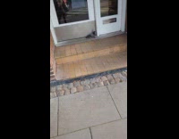 Dog escapes leash chases pigeon