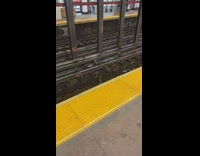 Rat jumps over toy guitar runs away 