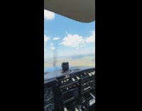 Pilot takes cat on airplane flight