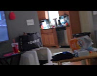 Cat busy watch television for movie night