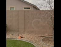 Dog jumping over wall to watch other two play 