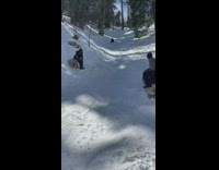 Person sledding down hill hits bump and crashed into cameraperson