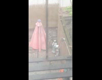 Buddha and alien statue in backyard 