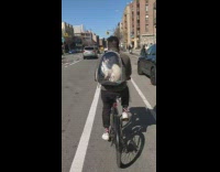Guy rides bicycle with cat in backpack