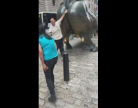 Bald guy touches butt of bull statue 