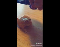 Orange frog bites hand and wears top hat