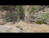 Biker rides down cliff and lands 