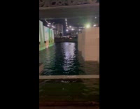 Woman poses under the spotlight of Lourve