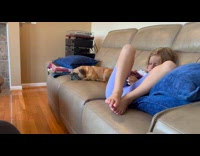 Dog sleeping and snoring on couch