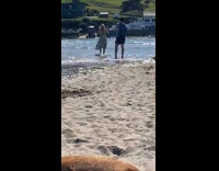 Girl floral dress walk beach brown dog