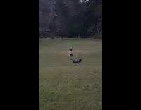 Family race on grass fail 