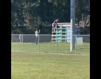 Purple dress girl dances on porta potty 