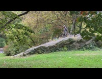 Guy rides bicycle down rock helmet park