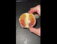 Person hold citrus fruit with red orange gradient