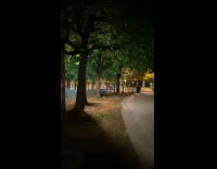 Lamplights in Park Flickers On and Off