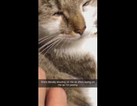 Cat Drools as it Falls Asleep on Lady