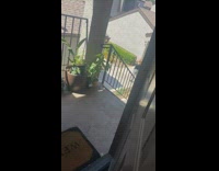 Black shirt girl tiktok dance ring light 