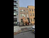 Giant Rudolph seen outside building