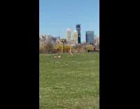 Woman workout public park video shoot