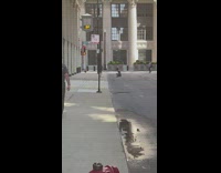 Woman in pink top tiktok dance at the street