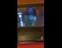 Close up video of green caterpillar eating 