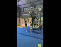 3 girls does an amazing acrobatic stunt 