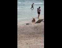 Woman bikini sleeves lie down beach shore