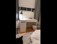 Pets lowkey hating on each other