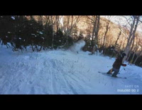 Skiers almost collide then one hits tree