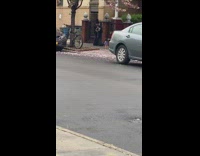 Guy photographs american girl doll sidewalk 