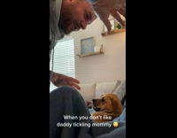 Dog gets angry guy tickling woman 