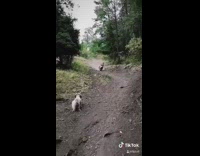 Girl slides down hill i cant stop 