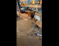 Dog plays drums jumps to hit cymbals