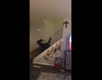 Collab Clips MPUGC - Dog drags owner down stairs