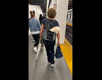 Woman walks with dog at backpack carrier