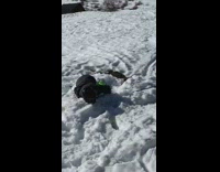 Green pants boy falls off skis fail