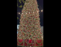 Two women sexy santa large christmas tree