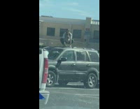 Woman green pants crouch tiktok dance car roof