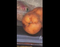 Guy shows deformed fruit 
