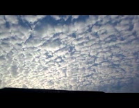 Submitter showing the altocumulus clouds